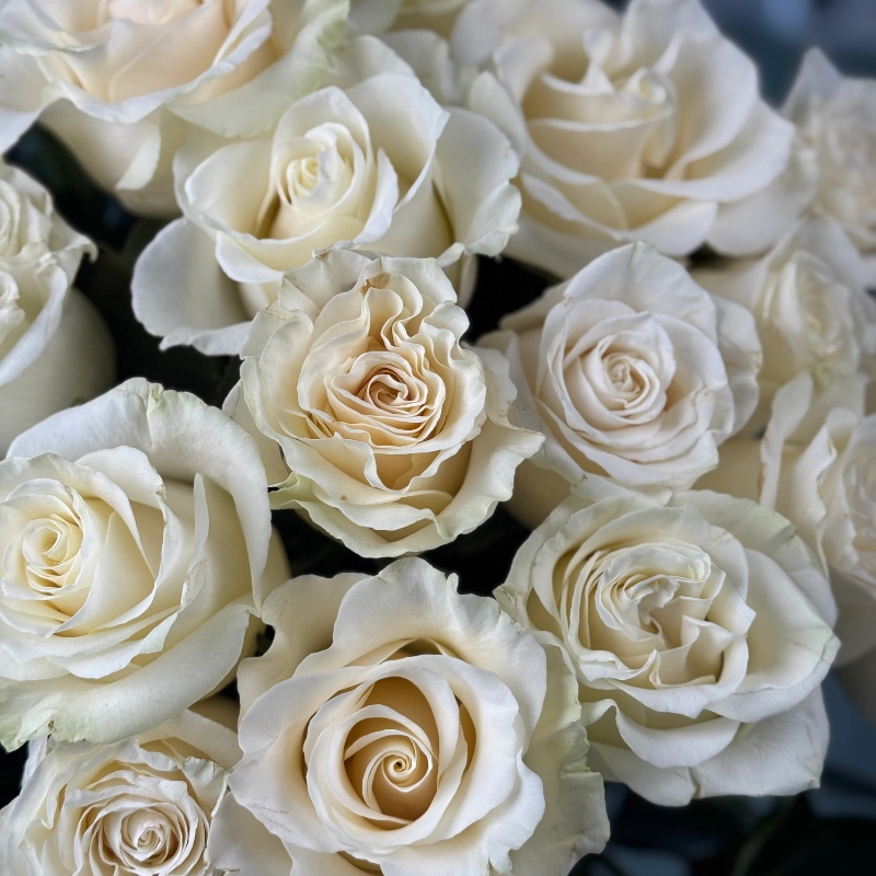 Букет из 31 розы 2